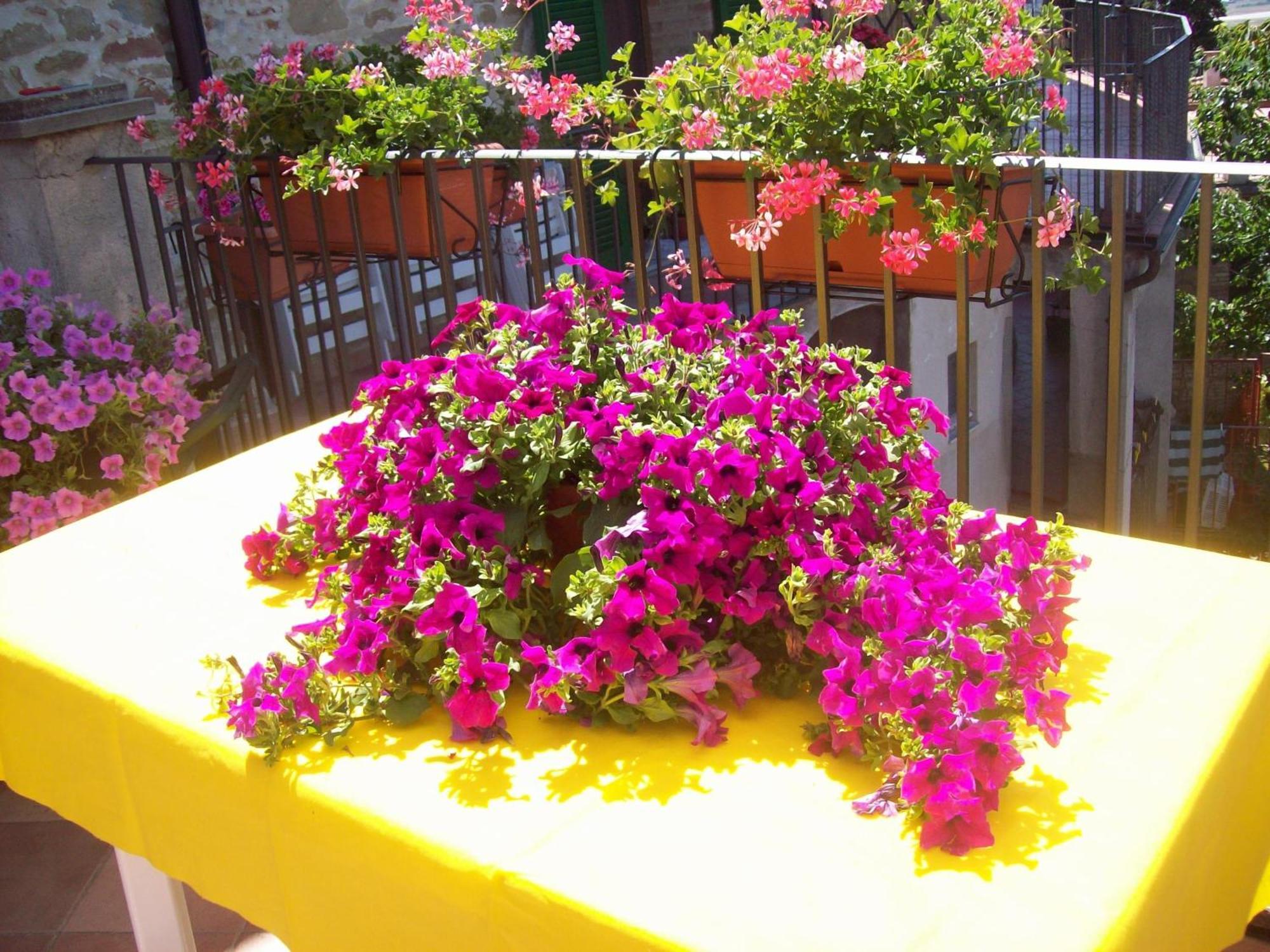 Bed and Breakfast La Terrazza Fio...Rita Ripa Экстерьер фото